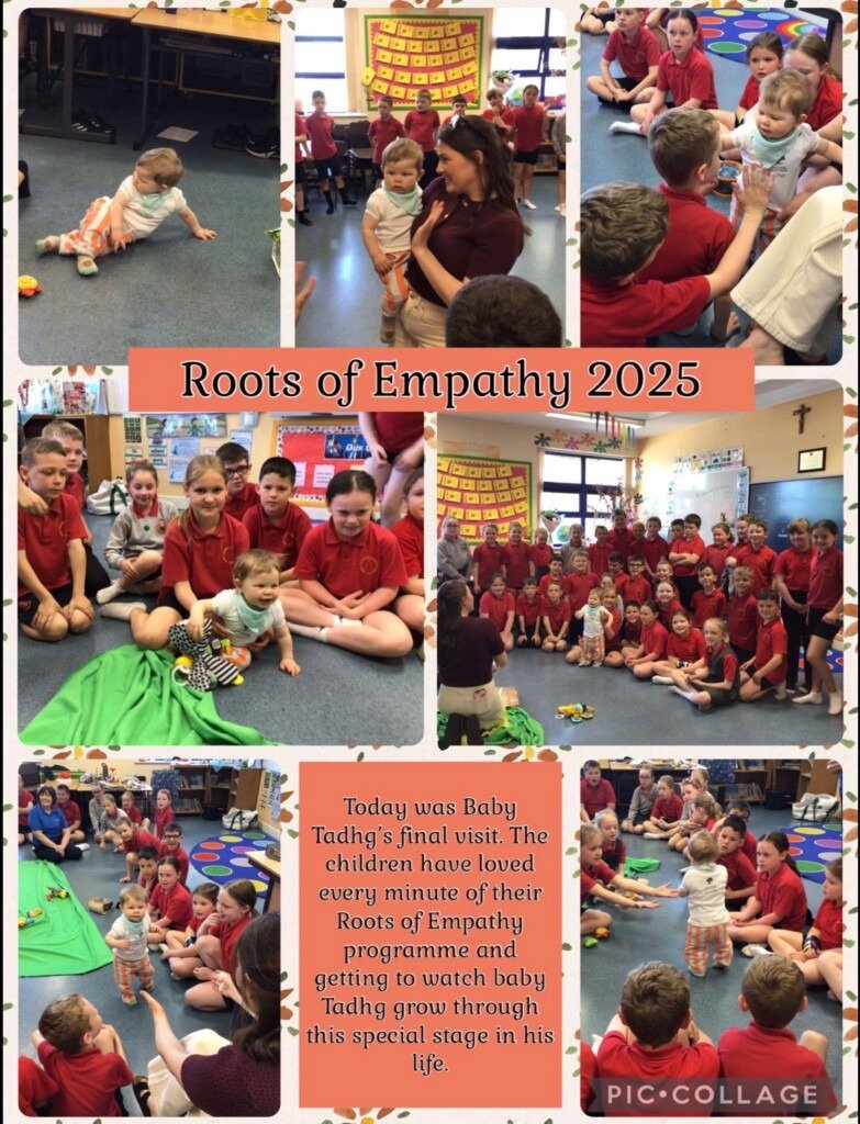 Image 29-01-2026 at 16.28